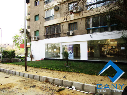 Residential Apartment For Rent Semi Furnished in Maadi Digla Great Cairo Egypt