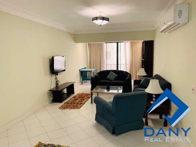 Residential Apartment For Rent Furnished in Maadi Digla Great Cairo Egypt