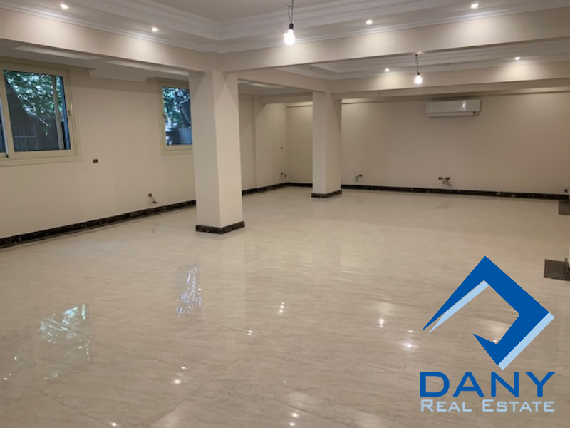 Residential Apartment For Rent Furnished in Maadi Digla Great Cairo Egypt