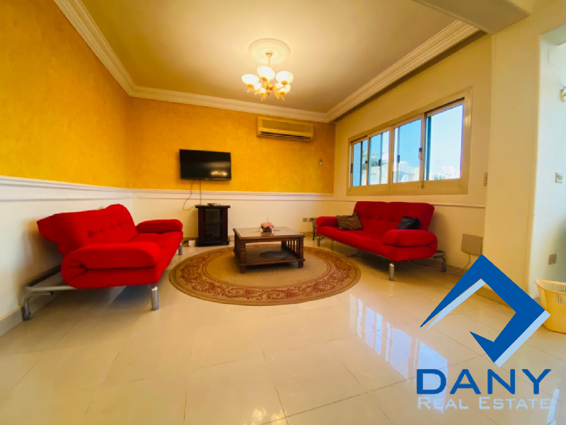 Residential Apartment For Rent Furnished in Maadi Digla Great Cairo Egypt